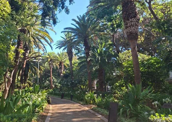 Castillo 17 Parking Incluido Apartman Santa Cruz de Tenerife